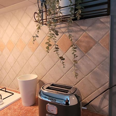 La Maison Aux Iris Pocé-sur-Cisse Extérieur photo