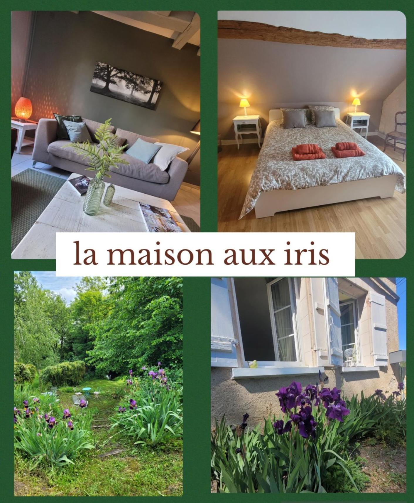 La Maison Aux Iris Pocé-sur-Cisse Extérieur photo