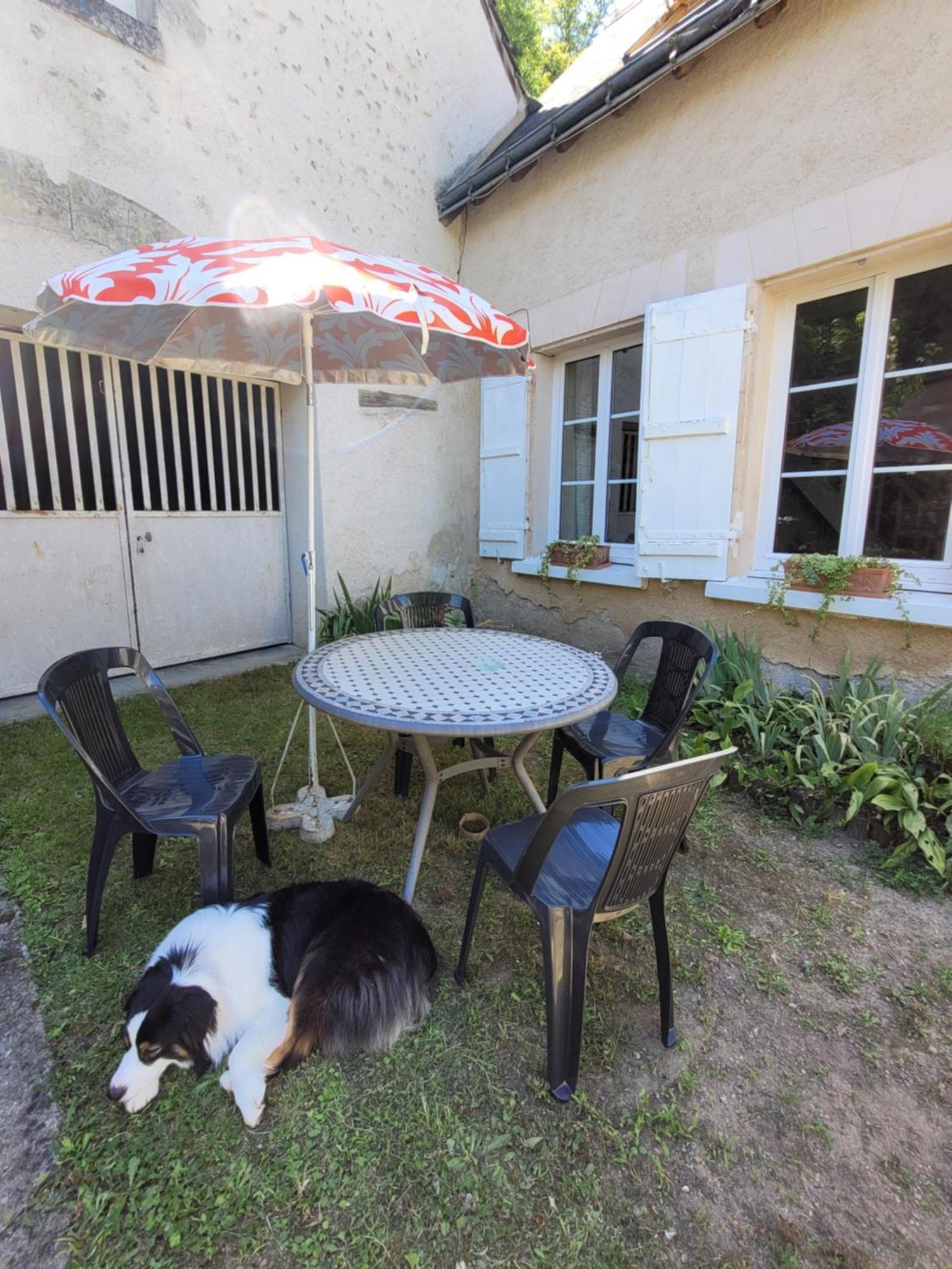 La Maison Aux Iris Pocé-sur-Cisse Extérieur photo