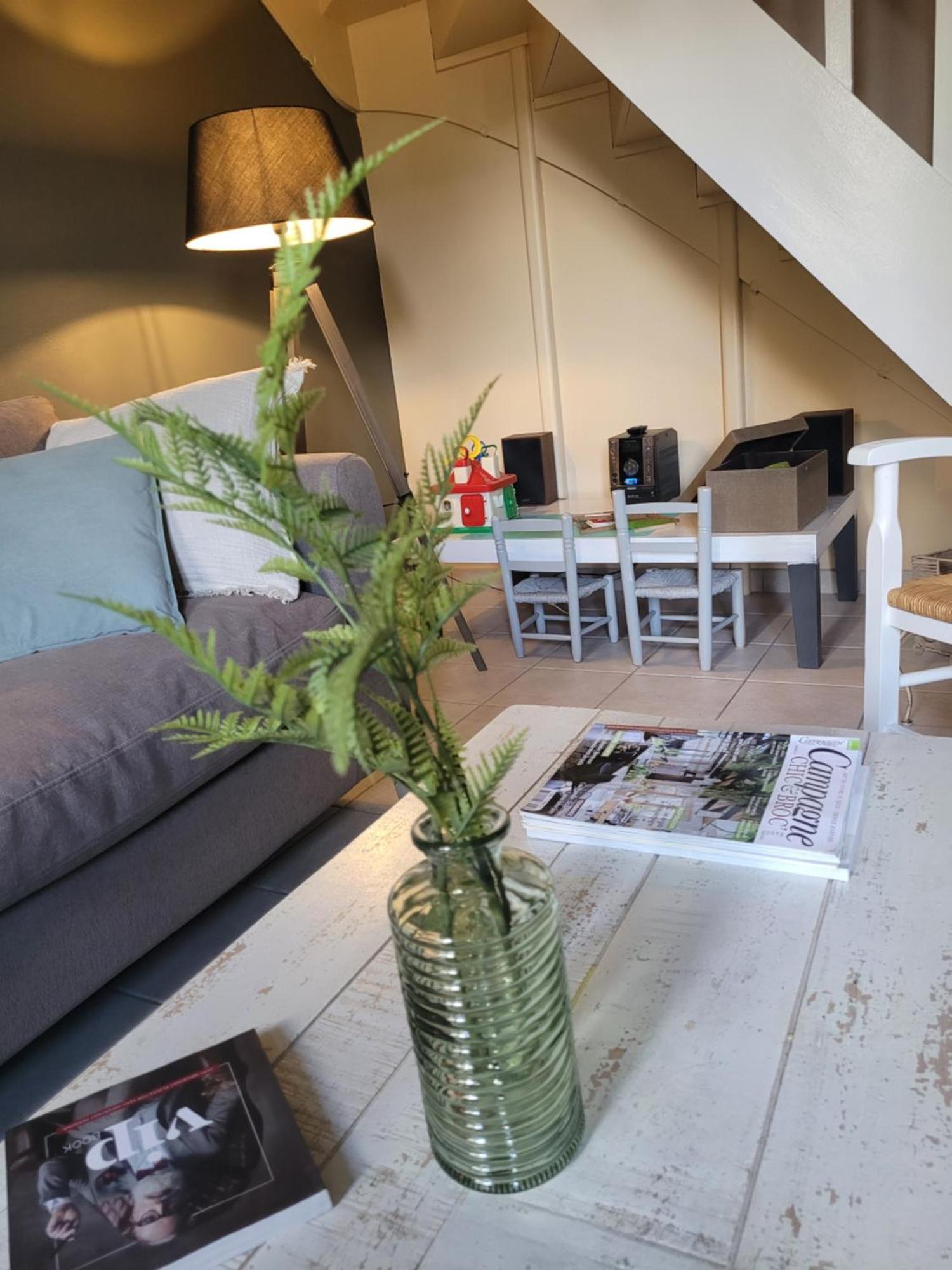 La Maison Aux Iris Pocé-sur-Cisse Extérieur photo