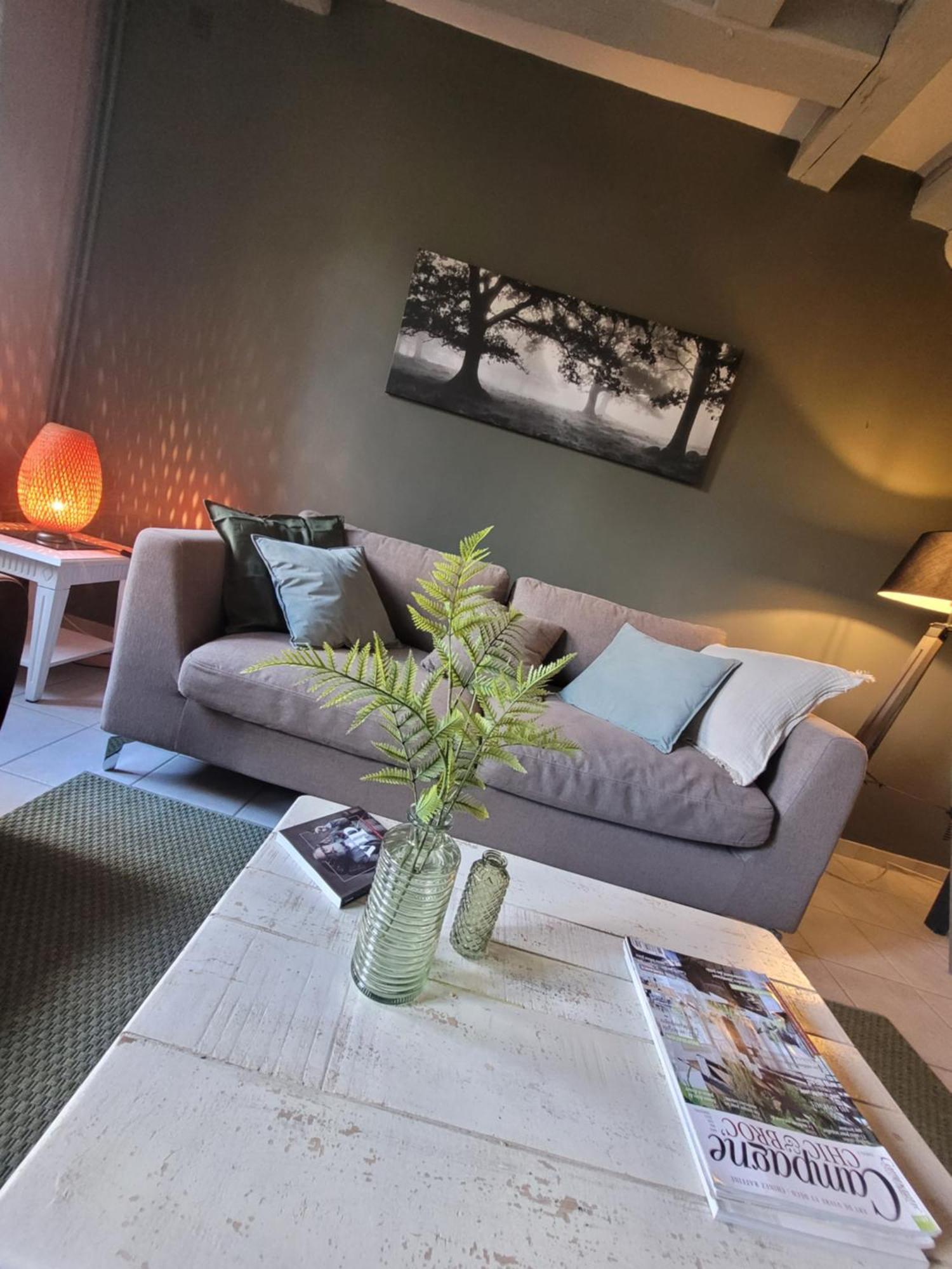 La Maison Aux Iris Pocé-sur-Cisse Extérieur photo