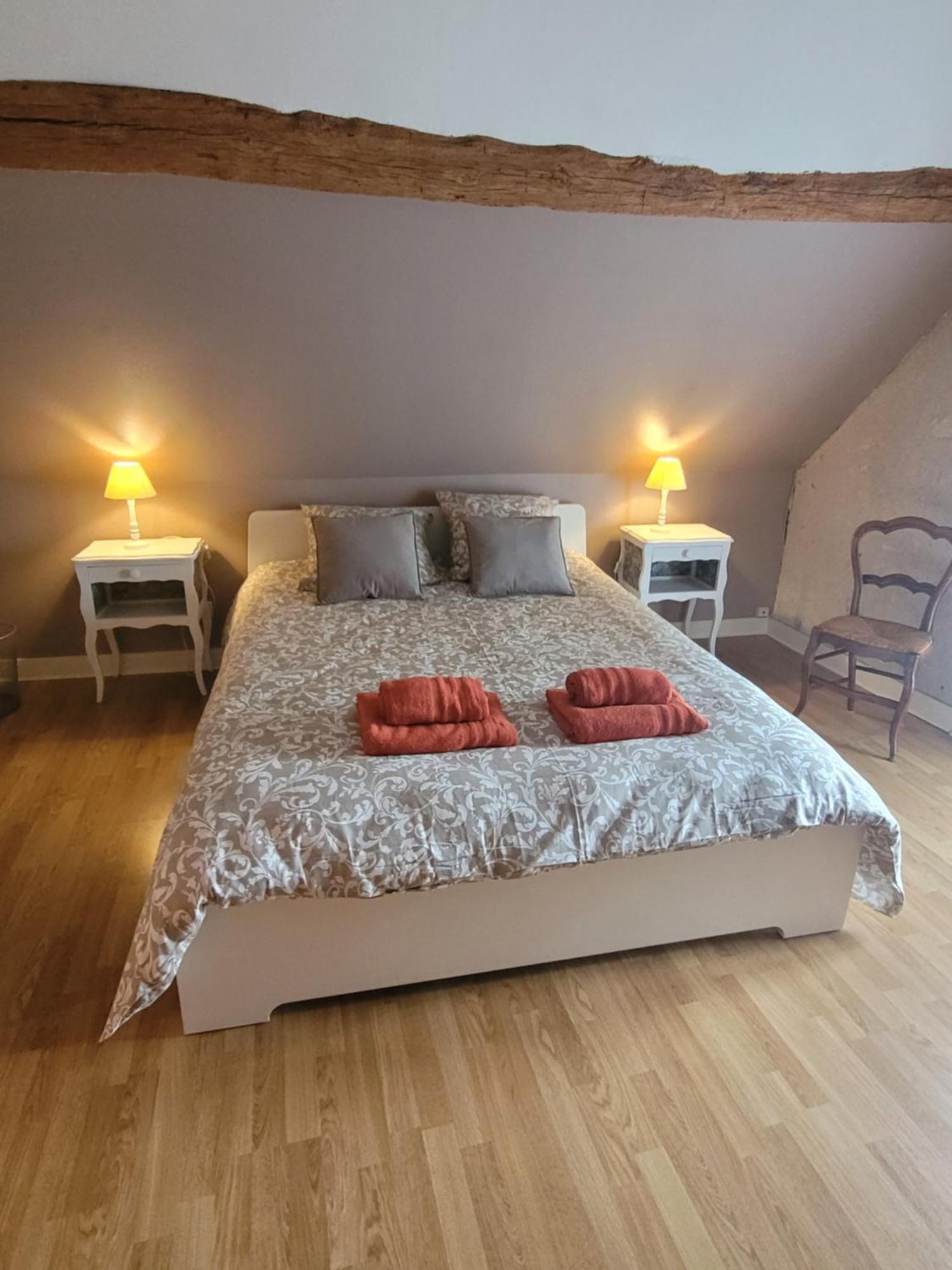 La Maison Aux Iris Pocé-sur-Cisse Extérieur photo